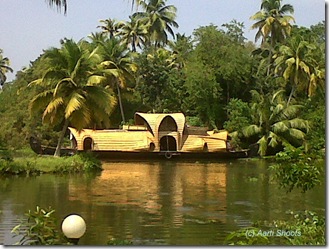 IMG01593-20101115-1100